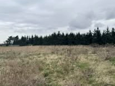 Działka budowlana sprzedam