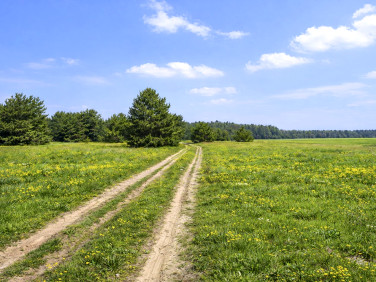 Działka budowlana Budki Stare sprzedam
