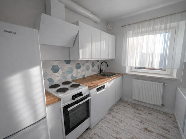 Mieszkanie Gryfów Śląski