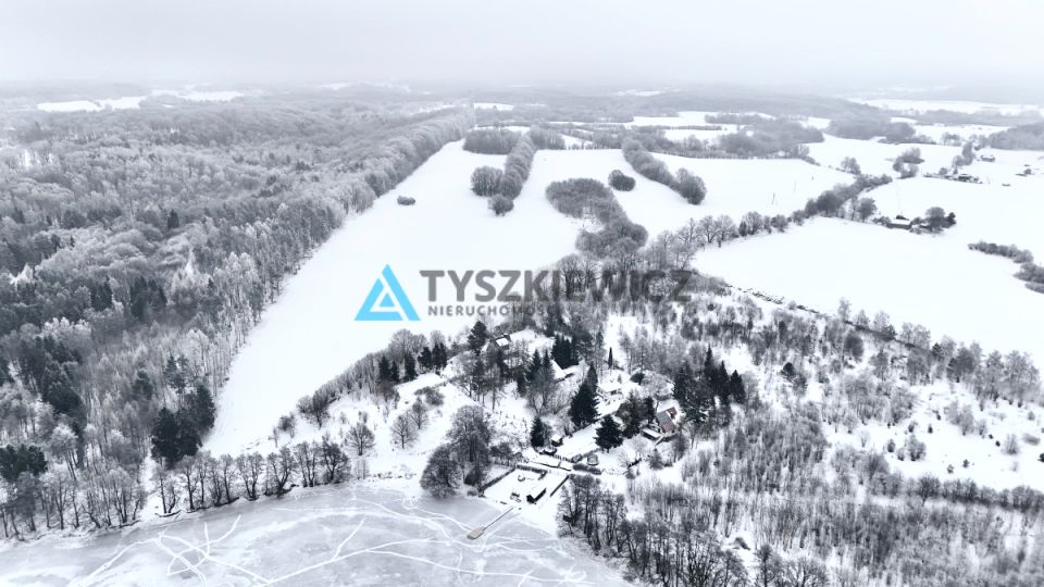 Zdjęcie 3