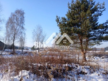 Działka budowlana Zalesie