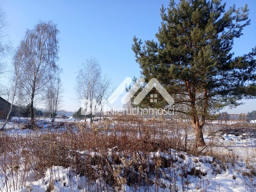 Działka budowlana Zalesie