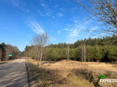 Działka rolna Panistruga