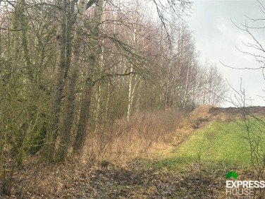 Działka rolna Koziki