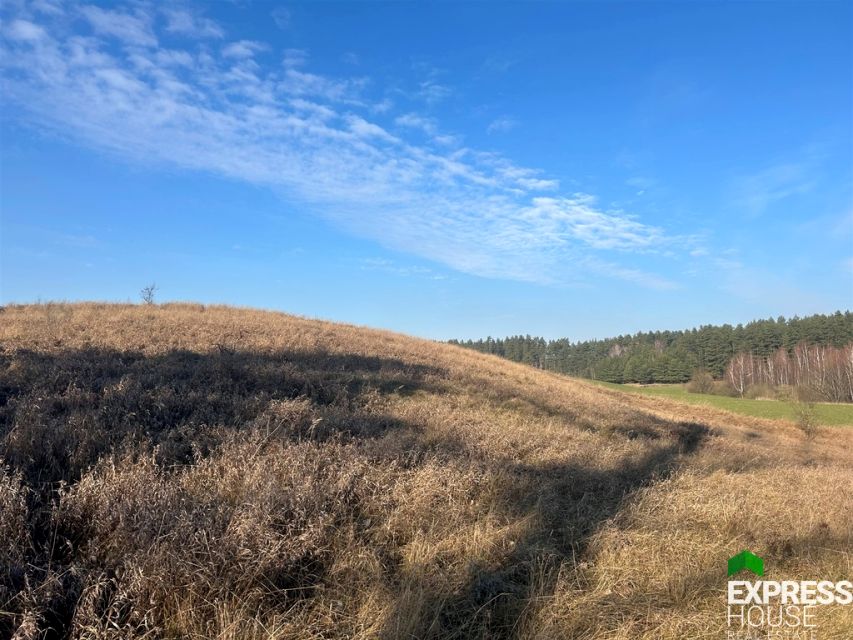Działka rolna Panistruga