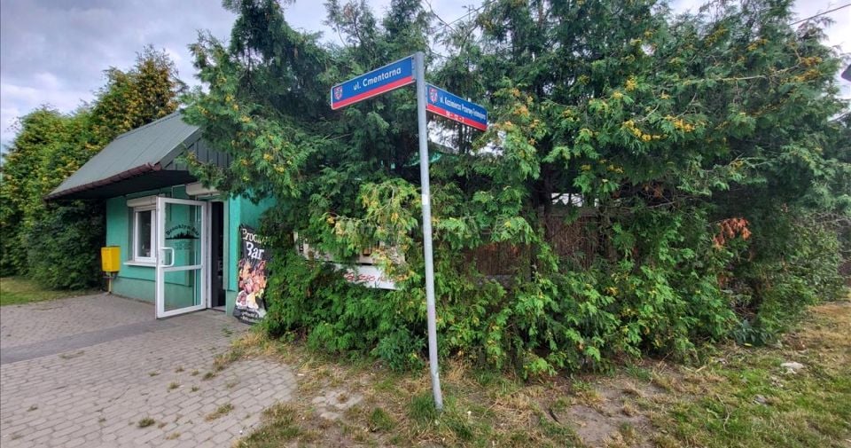 Zdjęcie 3