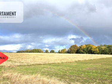 Działka Gołębiewo Wielkie