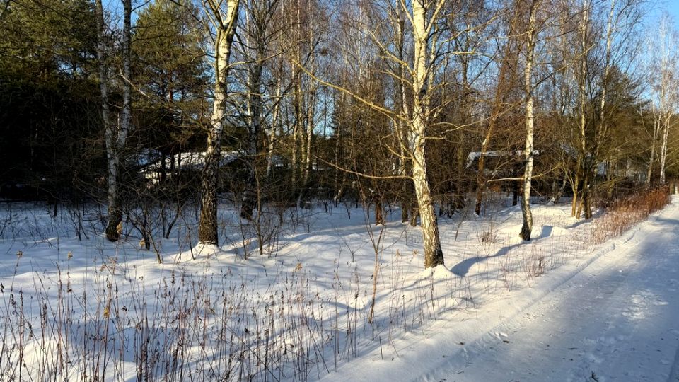 Działka budowlana Wyględy