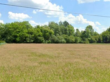 Działka inwestycyjna Ksawerów