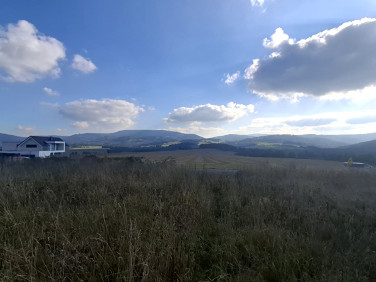 Działka budowlana Podlesie