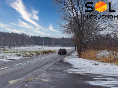 Działka Wodzisław Śląski