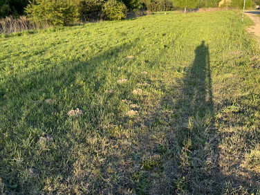 Działka budowlana Tarnowskie Góry