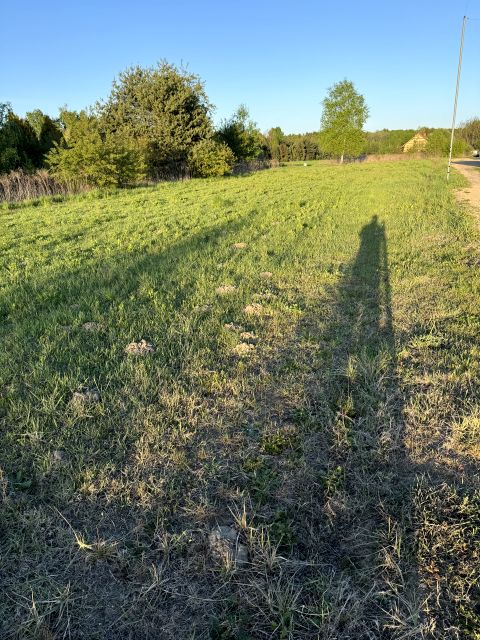 Działka budowlana Tarnowskie Góry