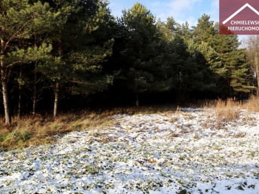Działka leśna Długie