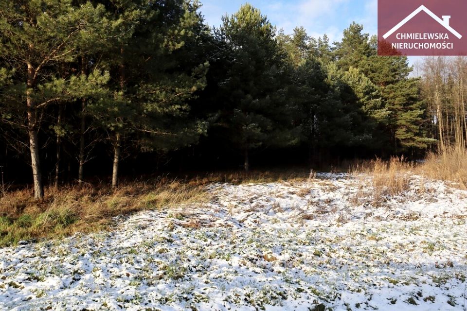 Działka leśna Długie