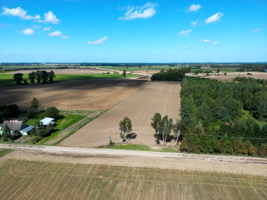 Działka Nowe Skórowo