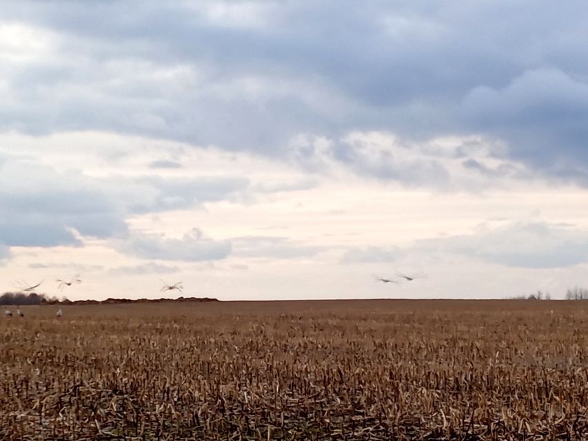 Działka rekreacyjna Paradyż sprzedam