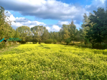 Działka budowlano-rolna Borzęcin Duży