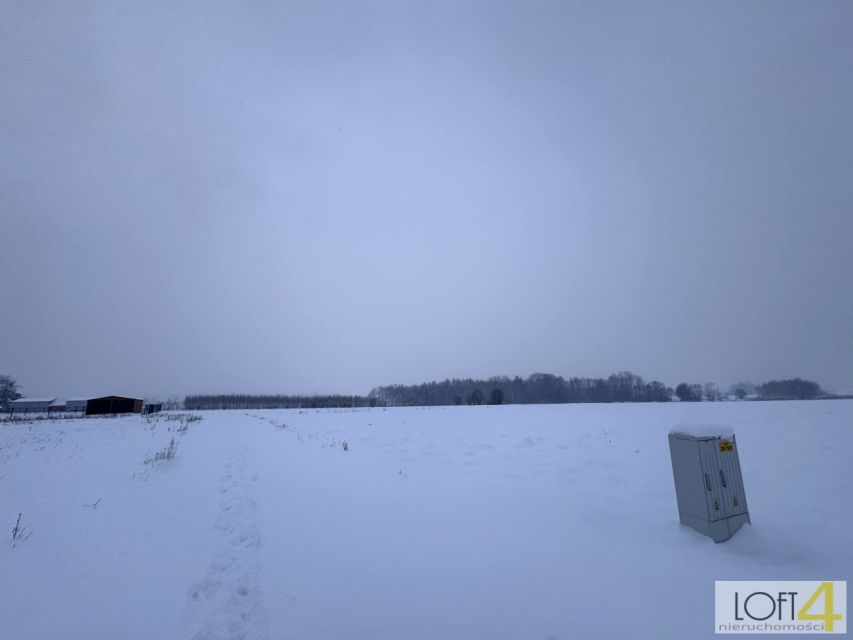 Zdjęcie 3