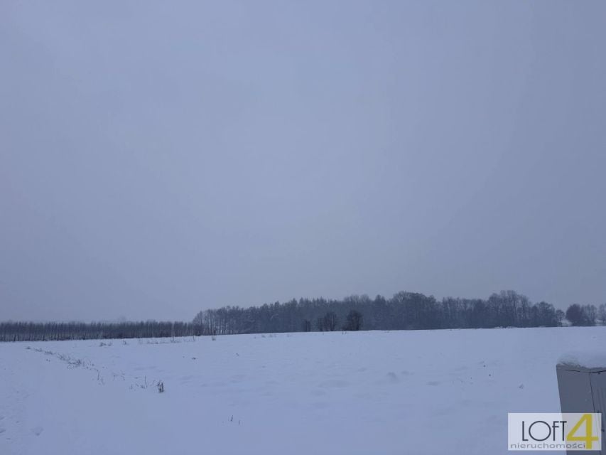 Zdjęcie 2