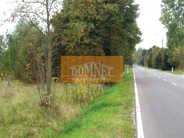 Działka inwestycyjna Cieciszew sprzedam