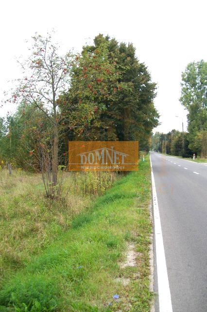 Działka inwestycyjna Cieciszew sprzedam