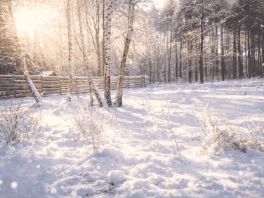 Działka budowlana Wiązowna sprzedam