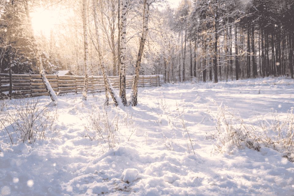 Działka budowlana Wiązowna sprzedam
