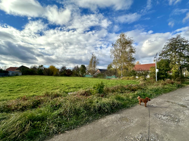 Działka budowlana Oława