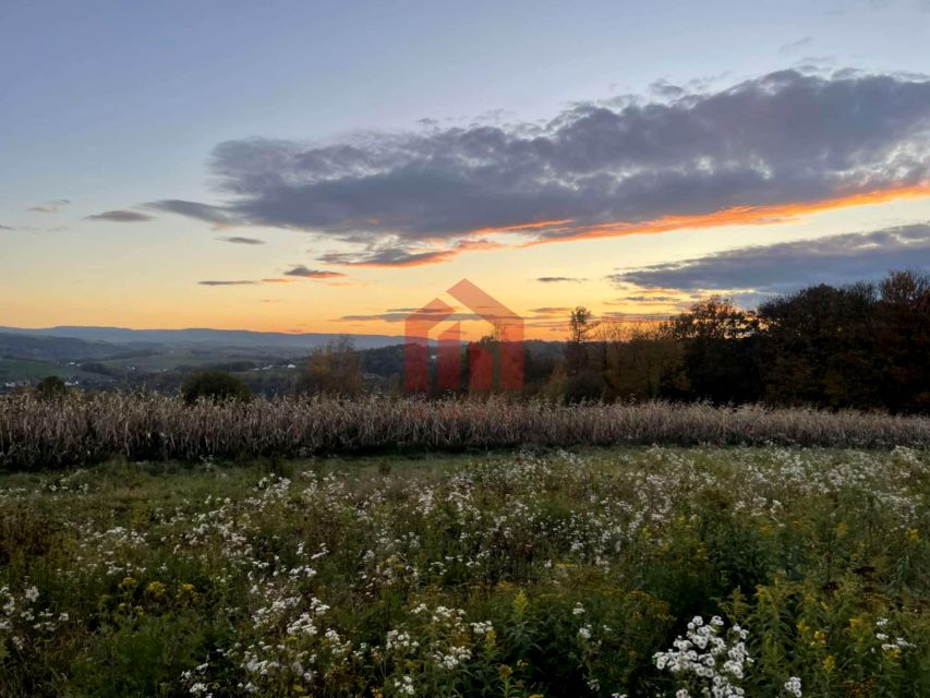 Działka budowlana Wielopole Skrzyńskie
