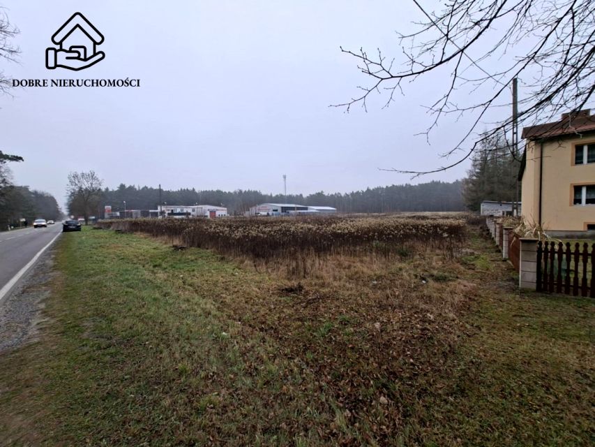 Działka budowlana Głusko Duże-Kolonia