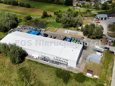 Budynek użytkowy Frampol