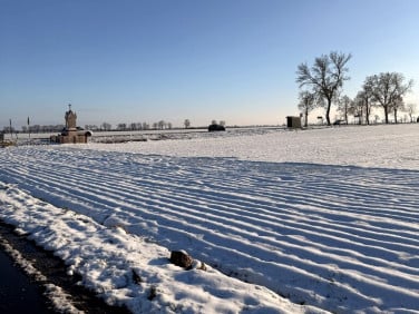 Działka budowlana Aleksandrów