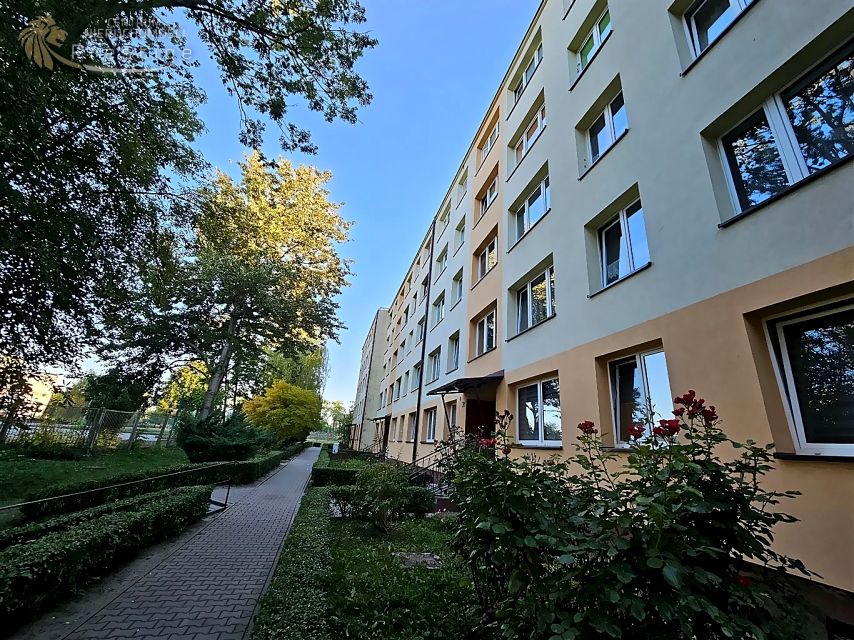 Mieszkanie Gliwice sprzedaż