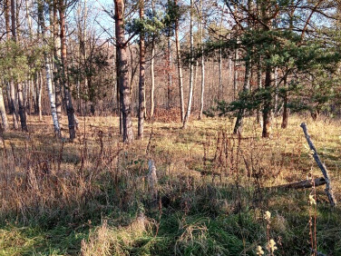 Działka budowlana Stara Wieś