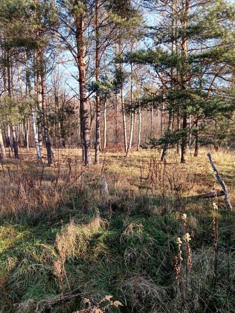 Działka budowlana Stara Wieś