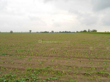 Działka inwestycyjna Czarne Piątkowo