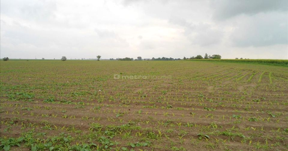 Działka inwestycyjna Czarne Piątkowo