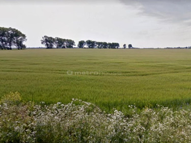 Działka Środa Wielkopolska