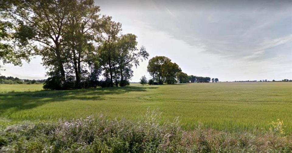 Działka rolna Brodowo