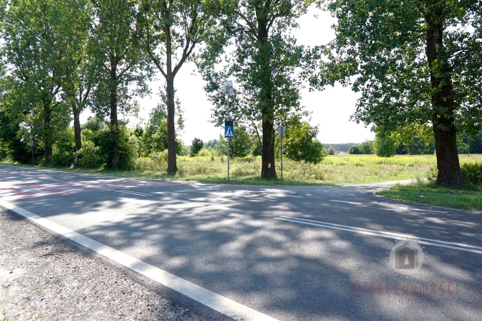 Zdjęcie 2