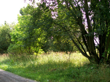 Działka rekreacyjna Grodzisko