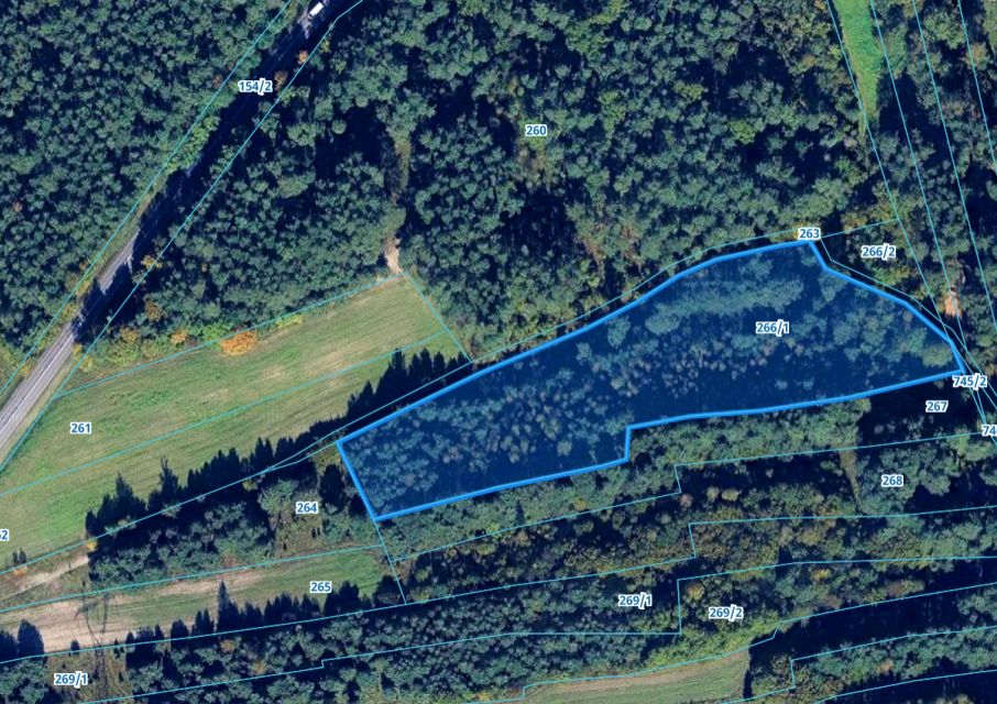 Działka leśna Żarki