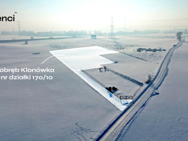Działka rolna Klonówka