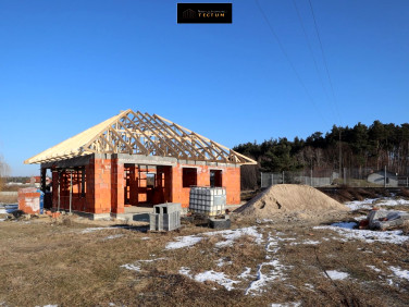 Dom wolnostojący sprzedaż