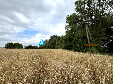 Działka budowlana Skarszewy