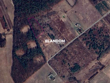 Działka siedliskowa Uwieliny