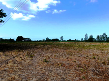 Działka budowlana Groszkowo