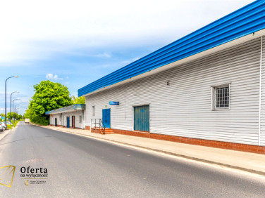 Lokal Lublin wynajem