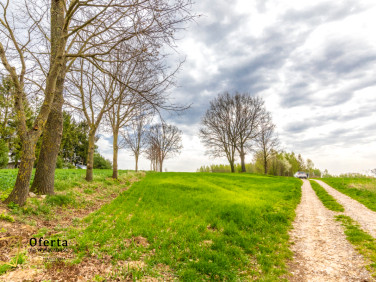 Działka rolna Płouszowice sprzedam